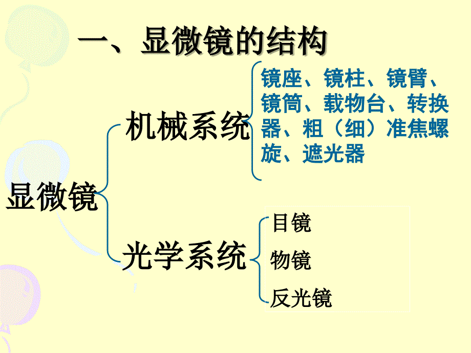 cxl显微镜的结构与使用_第2页