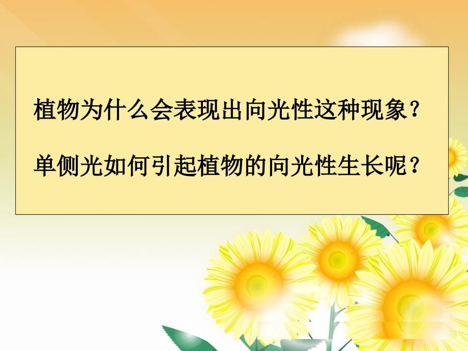 人教版教学课件江苏省南通市小海中学高二生物《植物生长素的发现》课件_第3页