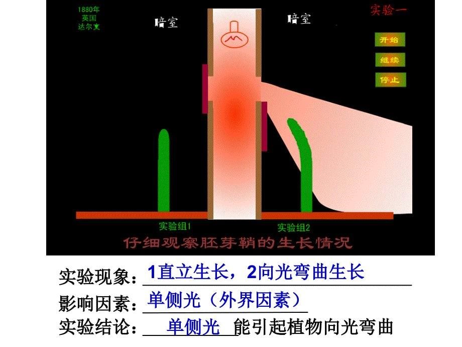 人教版教学课件江苏省南通市小海中学高二生物《植物生长素的发现》课件_第5页