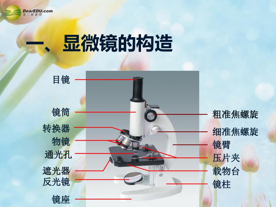 练习使用显微镜课件 新人教版[新]_第4页