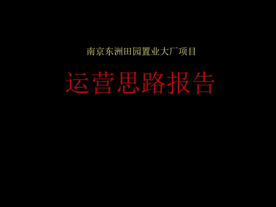 南京东洲田园置业大厂项目运营思路报告_第1页