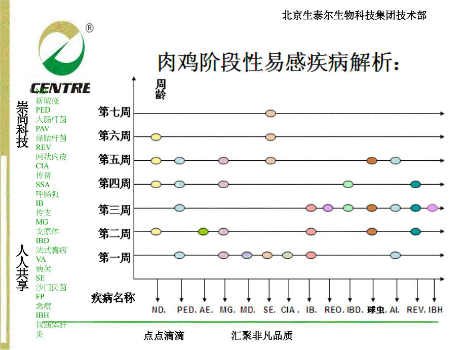 大型肉鸡自养场疾病预防保健方案_第4页