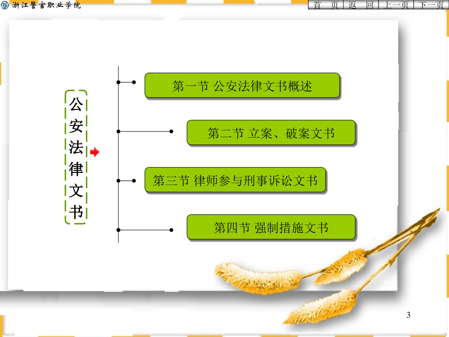 公安法律文书_第3页