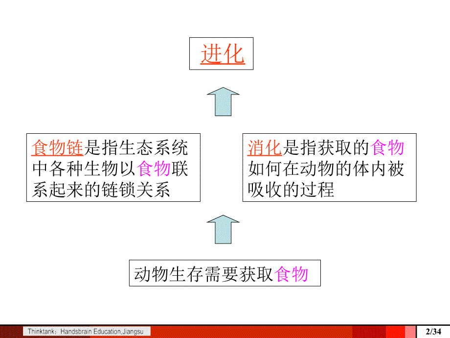 G食物链、消化与进化培训课件 第二期_第2页