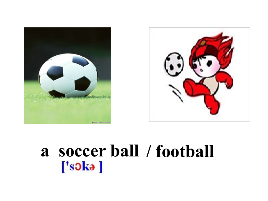 【人教版】七年级上册全单元教学课件 Unit 5 Do you have a soccer baSection A_第4页