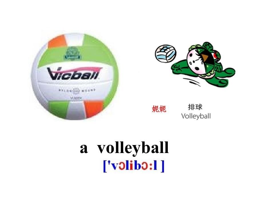 【人教版】七年级上册全单元教学课件 Unit 5 Do you have a soccer baSection A_第5页