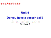 【人教版】七年级上册全单元教学课件 Unit 5 Do you have a soccer baSection A