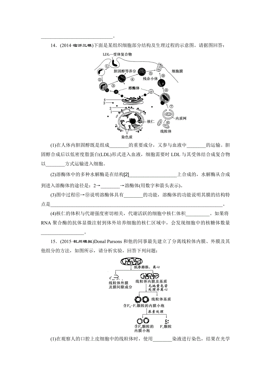 课时跟踪检测(六) 细胞器 —— 系统内的分工合作_第4页