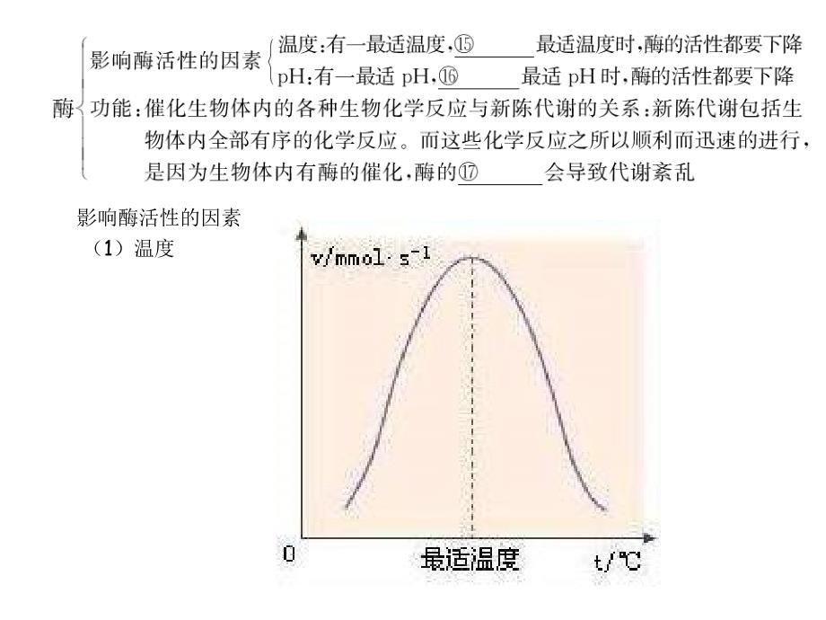 高一生物酶和ATP_第3页