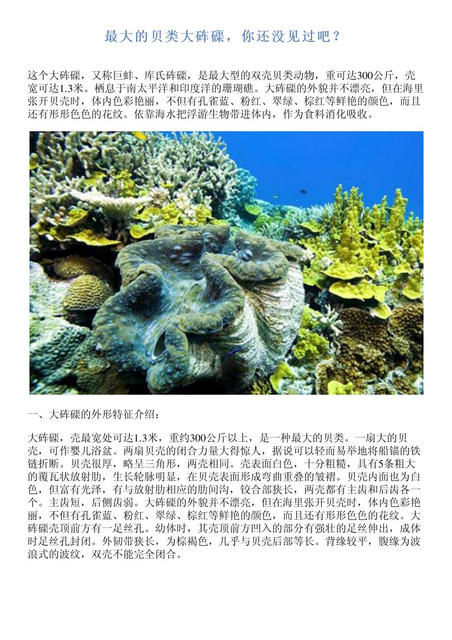 最大的贝类大砗磲,你还没见过吧？_第1页