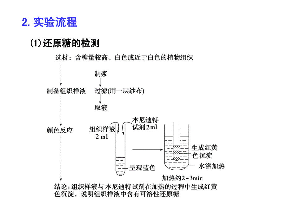 油脂、蛋白质、还原糖的鉴定_第3页