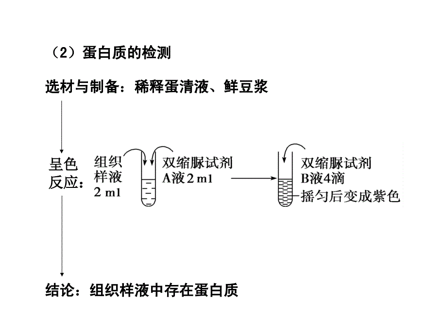 油脂、蛋白质、还原糖的鉴定_第4页