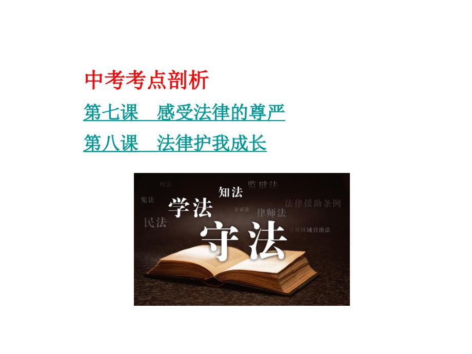 2015人教版中考政治第一部分考点研究七年级（上、下册）第四单元 做知法守法用法的人（七年级下册第四单元）_第2页