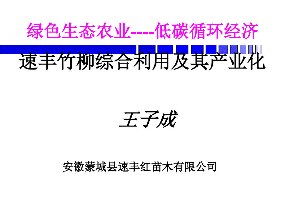 竹柳国家林业局课件王子成_第1页