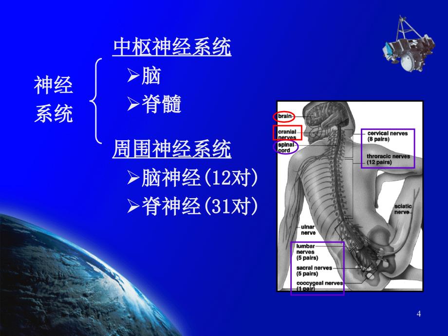 神经、精神疾病的生物化学_第4页