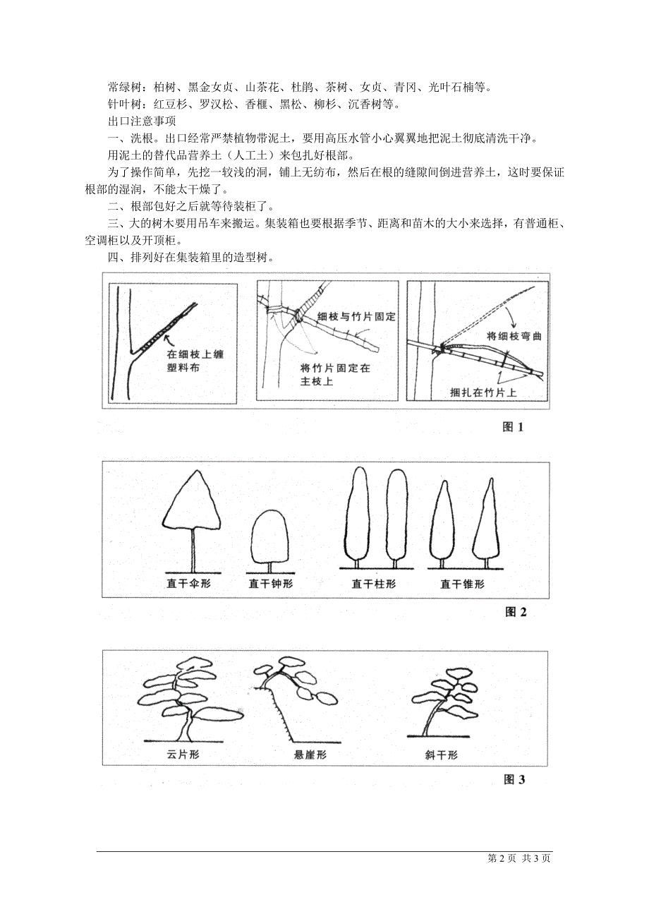 浅谈日本罗汉松的生产_第2页