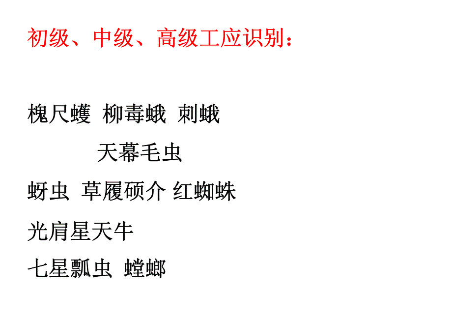 园林工考试--病虫识别_第1页
