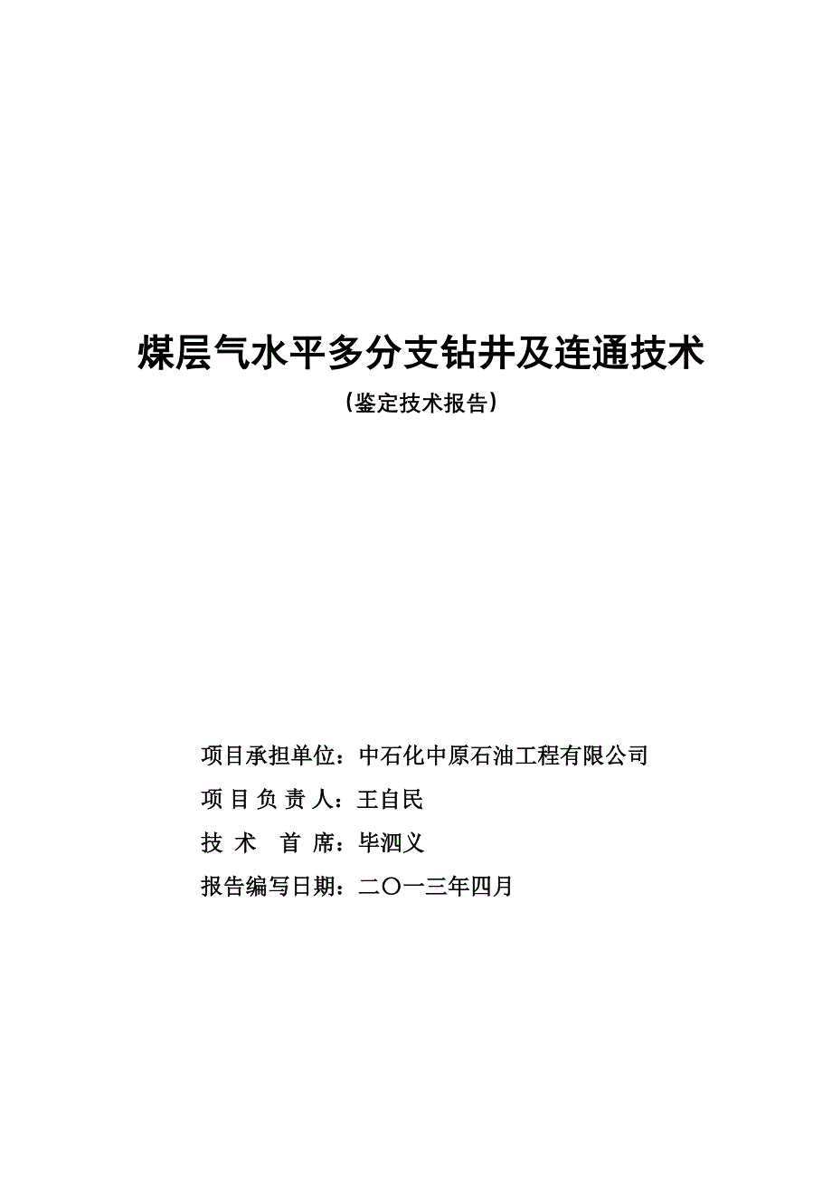 煤层气水平多分支钻井及连通技术研究报告_第1页