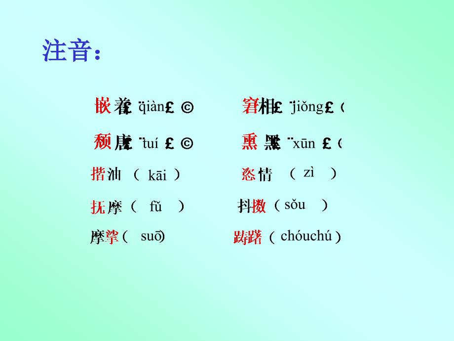 《一面》教学课件_第4页