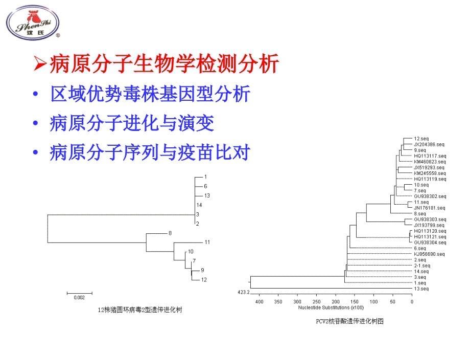 生猪重要疫病样品采集要求与实验室检测意义 课件_第5页