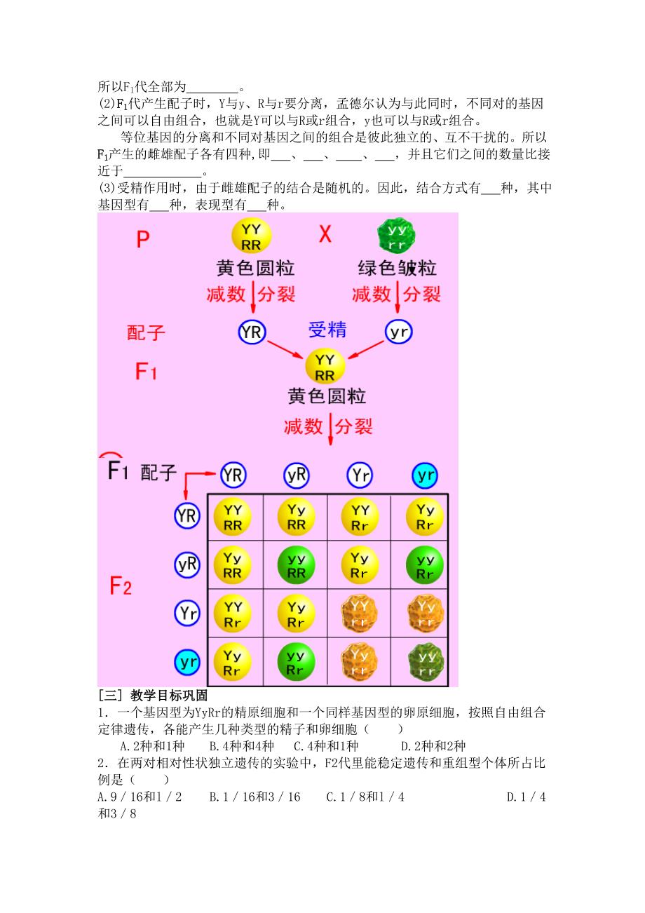 孟德尔的豌豆杂交试验二学案_第2页