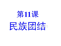 山东省泰安市新泰八年级历史下册第11课《民族团结》（新人教版）