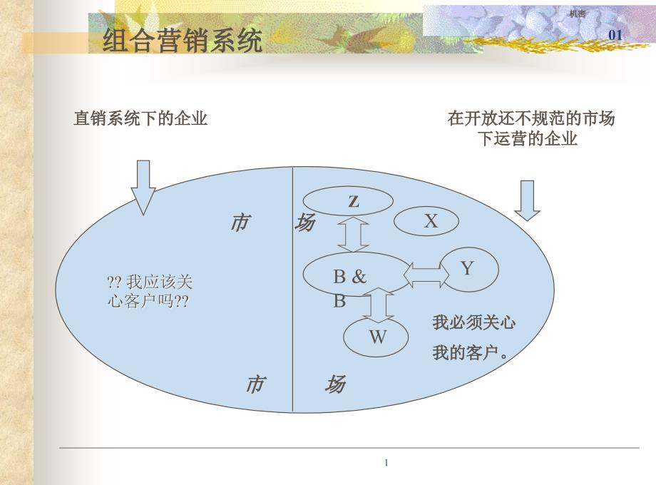 市场营销：组合营销系统_第1页