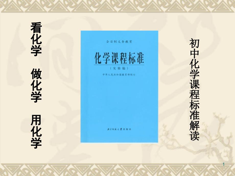 初中化学课程标准解读_第1页