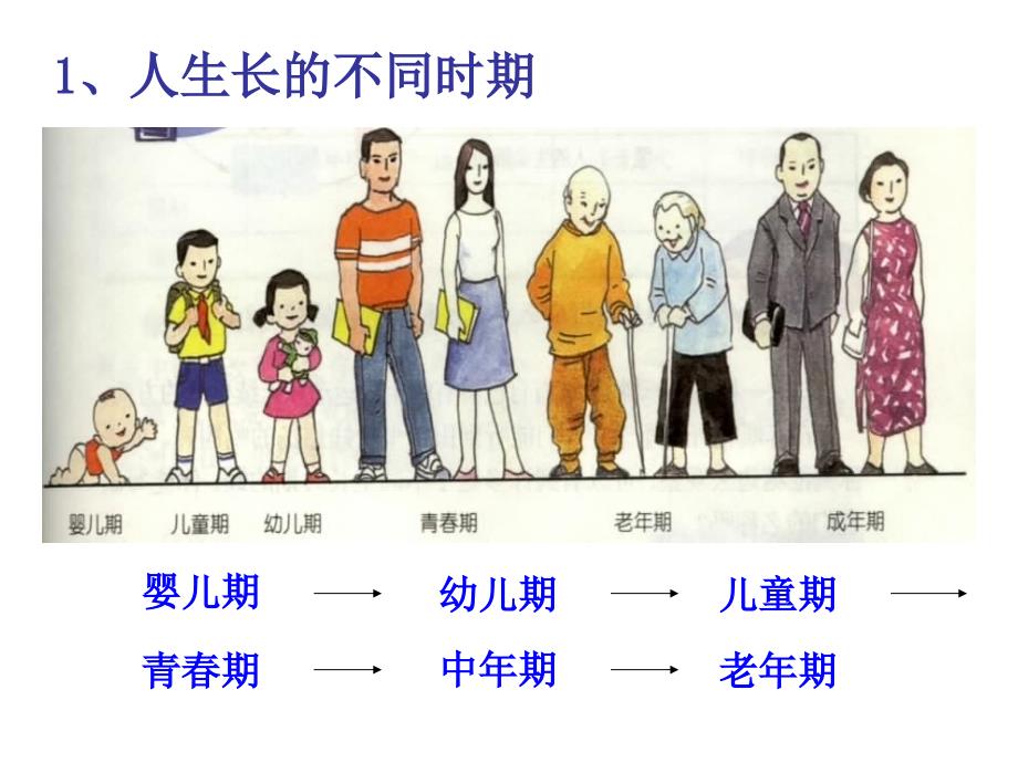 浙江省瑞安市七年级科学下册《动物的生长时期》课件1_第3页