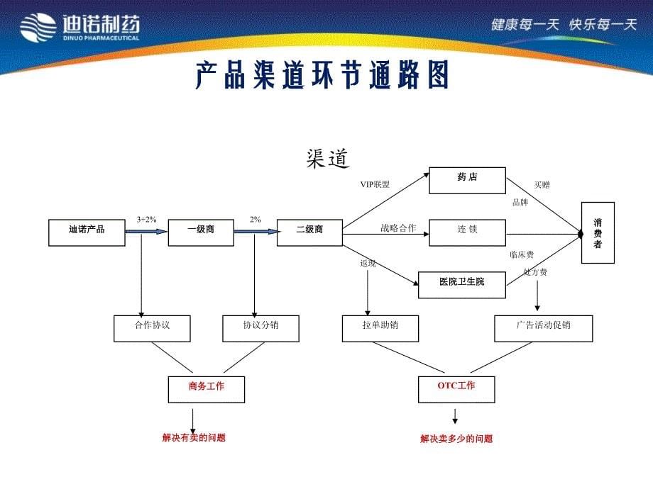 迪诺制药 医药渠道建设-王浩波_第5页