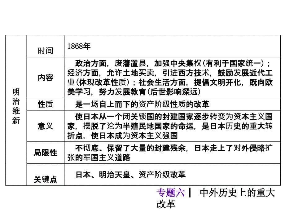 2015年中考历史九年级专题复习课件：专题6 中外历史上的重大改革_第5页