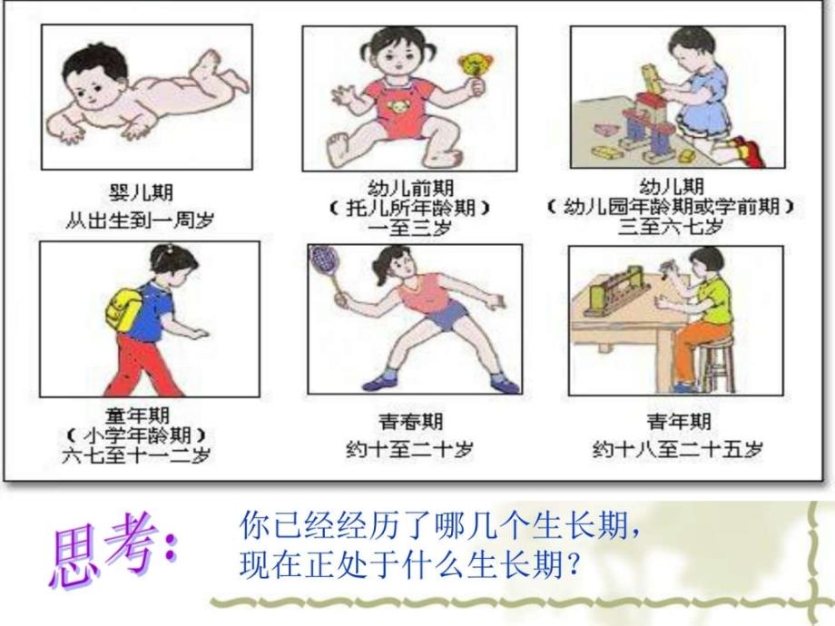 小学生青春期健康知识讲座_图文_第2页