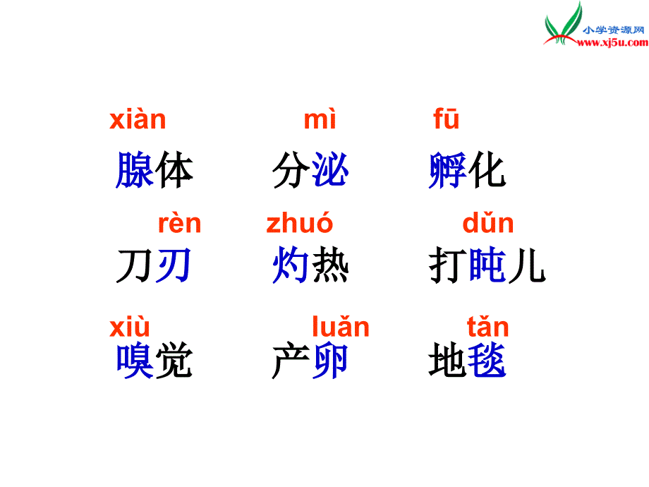 2015届六年级语文上册《蜗牛慢条斯理的生活》课件2 语文a版_第4页