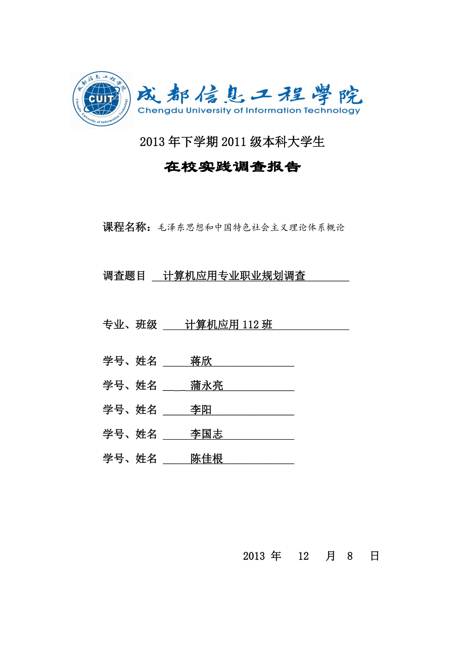 计算机应用专业职业规划调查报告_第1页