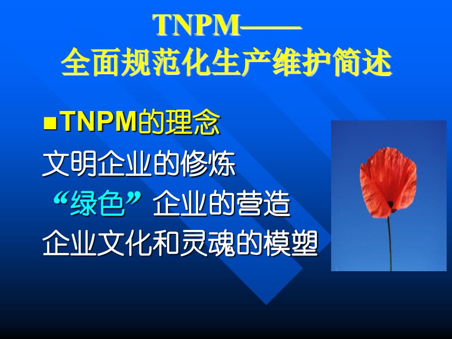 TNPM—全面规范化生产维护简述_第4页