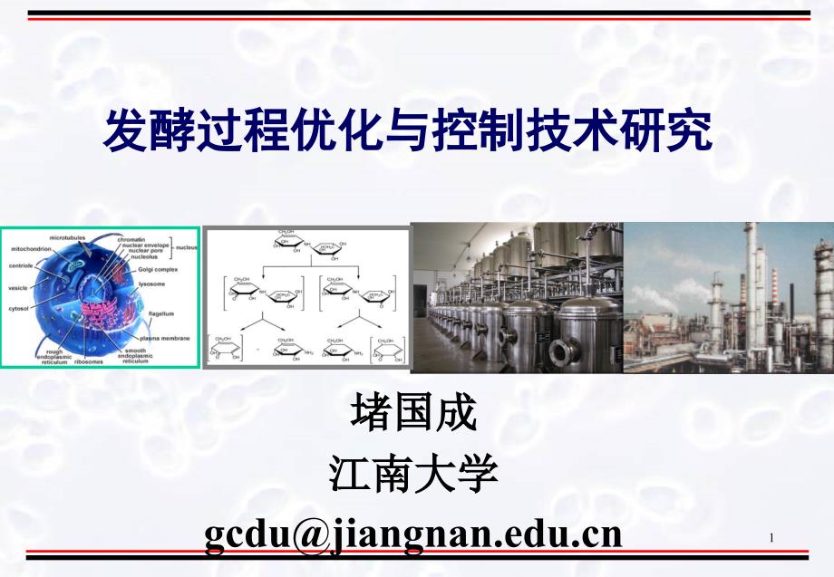 发酵过程优化与控制技术研究_第1页