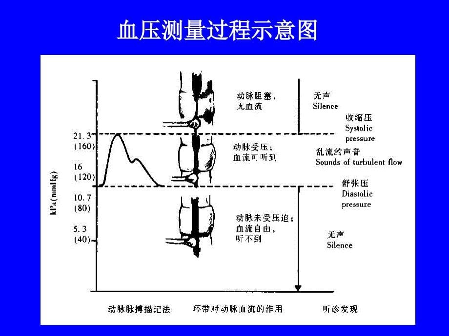 血   压_第5页