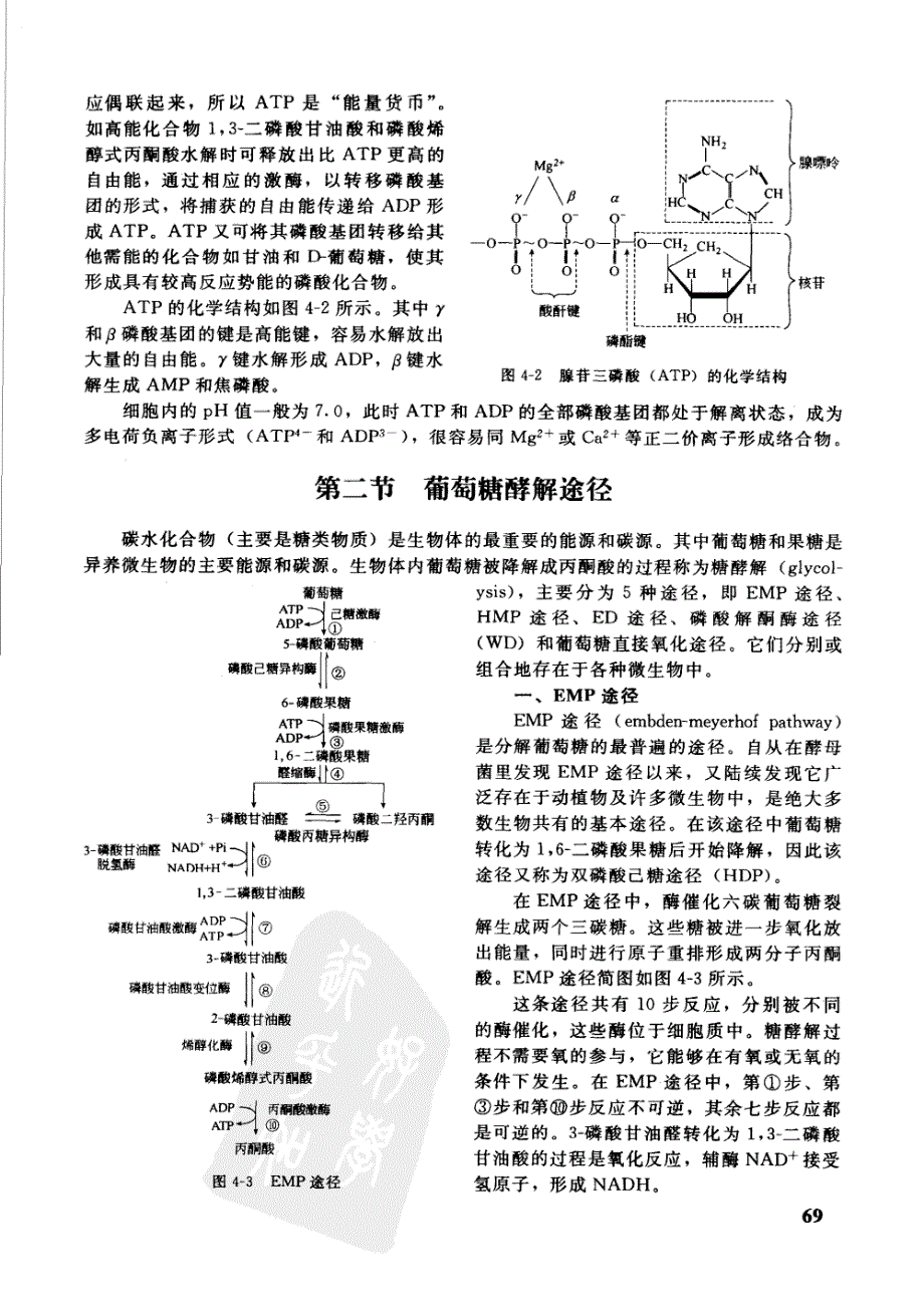 2007-杨生玉-微生物生理学69-78_第1页