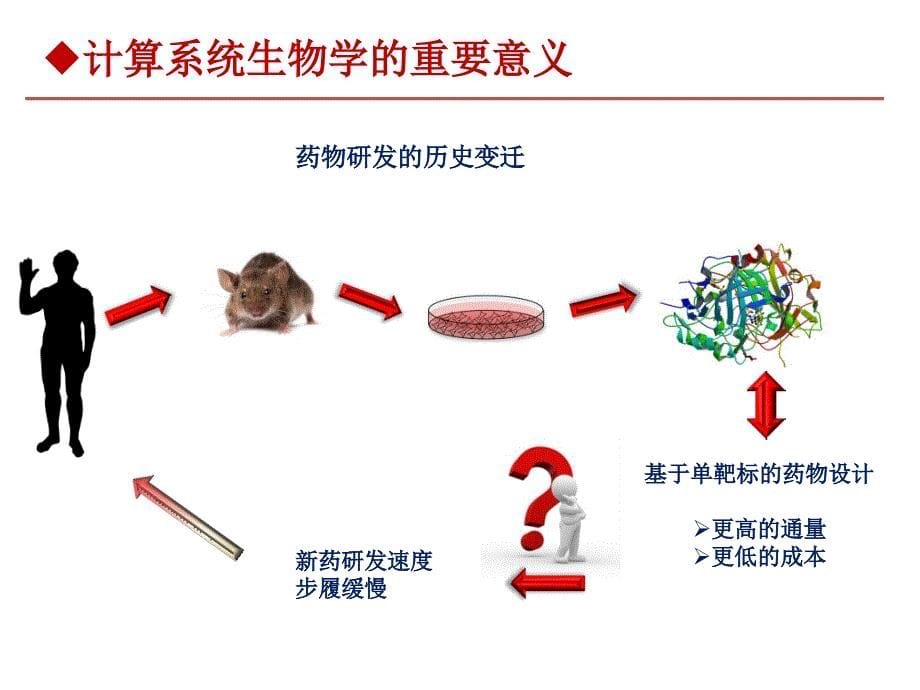 系统生物与药物设计_第5页