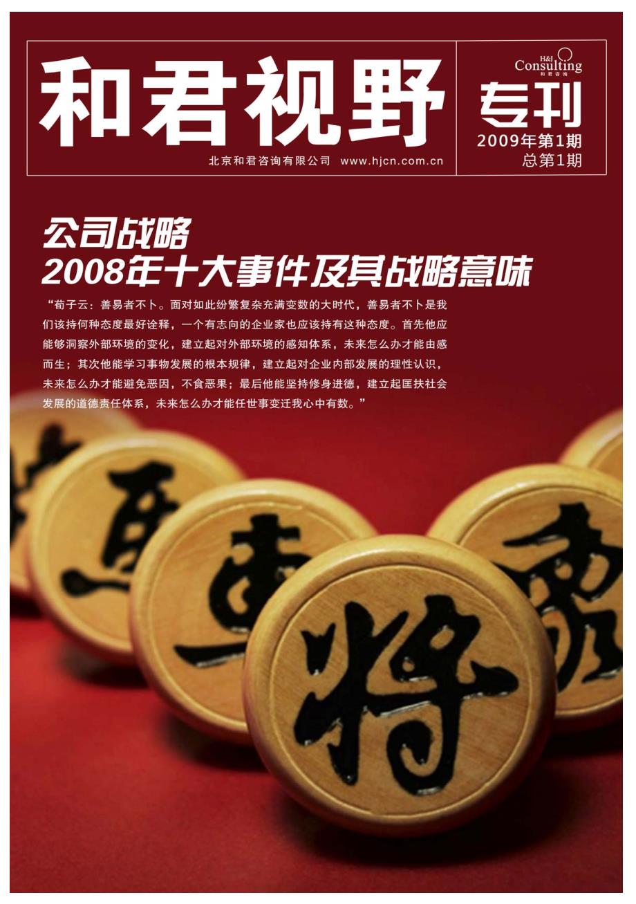 公司战略专刊_第1页