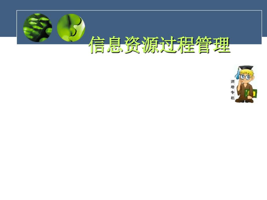 【培训课件】信息资源过程管理_第1页