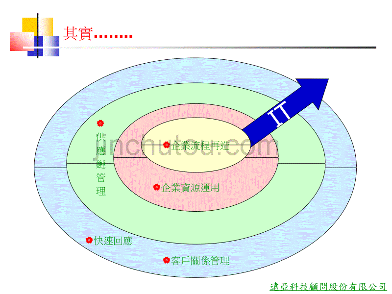 远亚科技-某通信公司流程重组与IT规划阶段报告_第3页