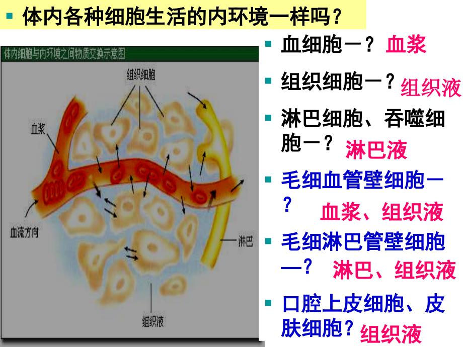 稳态的重要性_第4页