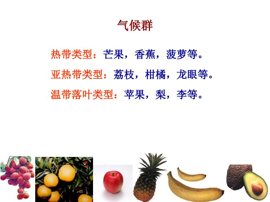 果树的有机栽培——以香蕉为例   园艺植物有机栽培 教学课件_第3页