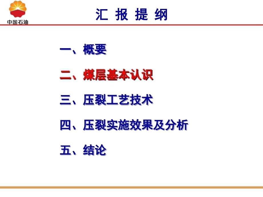 煤层压裂技术(介绍)_第5页