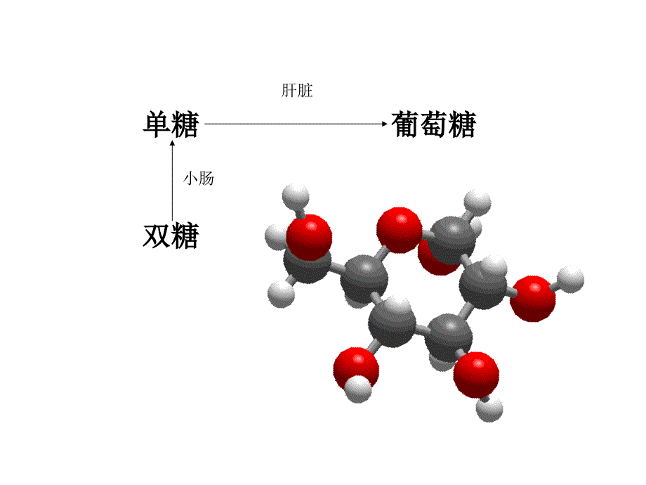 营养保健学碳水化合物_第4页