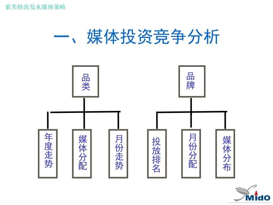 索芙特洗发水西安市场广告媒体策划_第5页