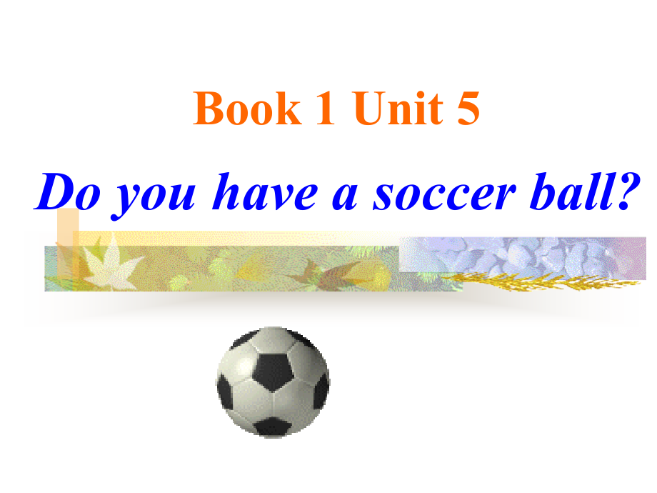 [英语新目标七年级上]unit 5 Do you have a soccer ball !!_第1页