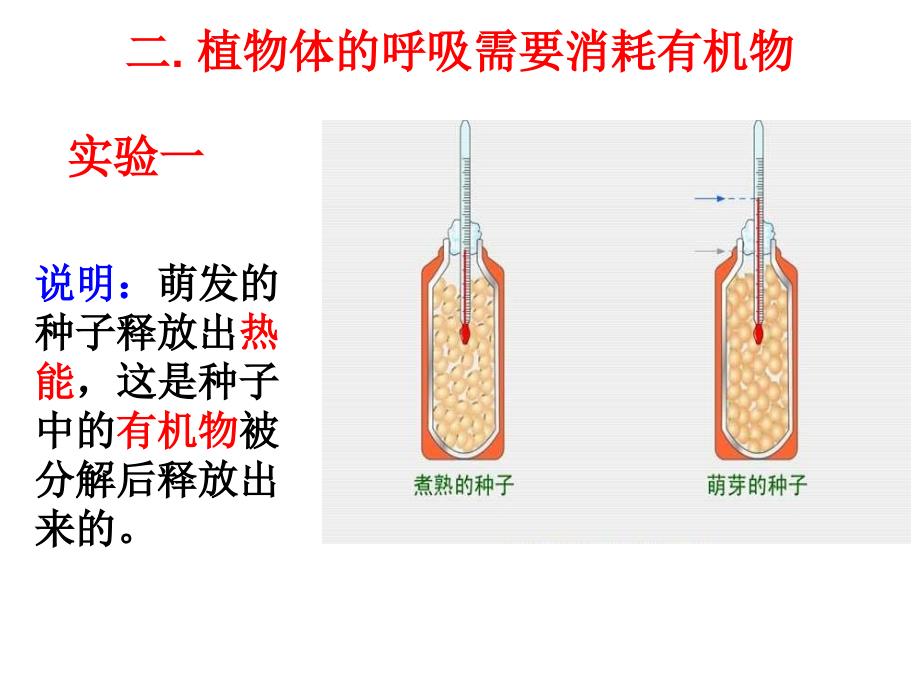 七年级生物植物的呼吸作用(2)_第4页