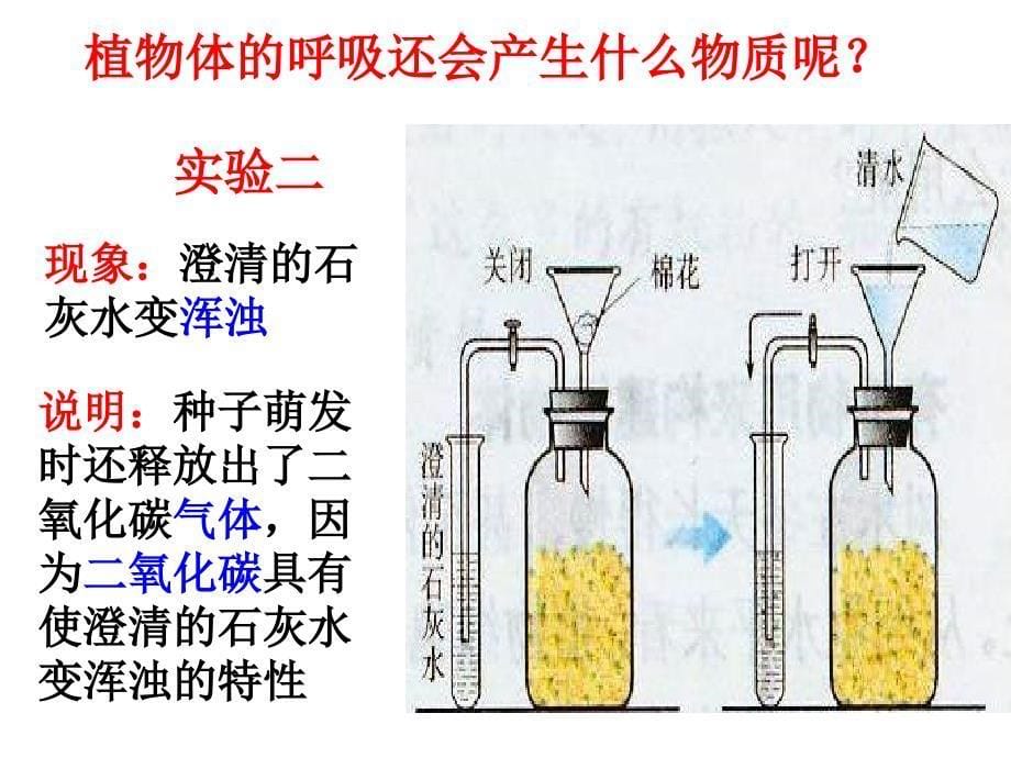 七年级生物植物的呼吸作用(2)_第5页